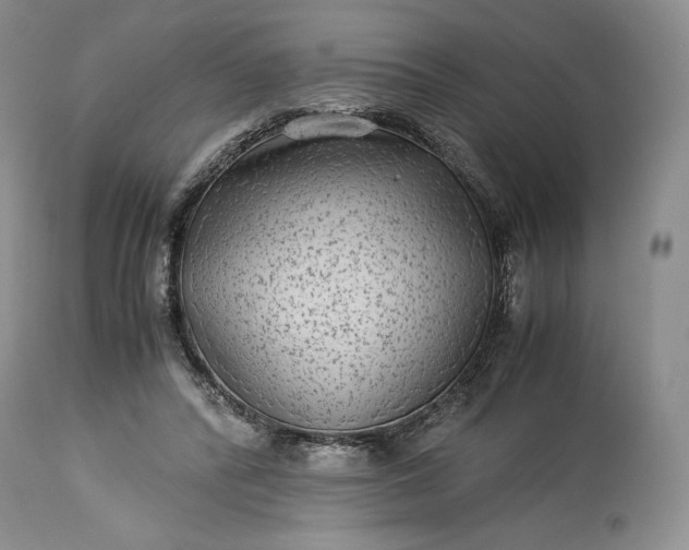 X0000114190400200910231325