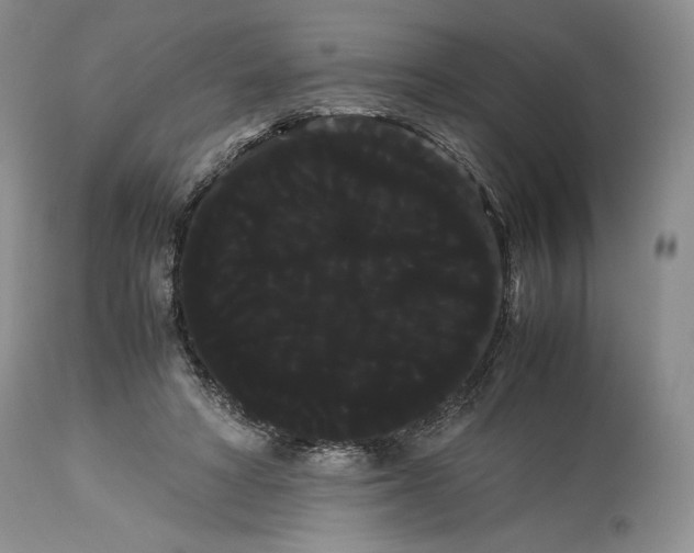 X0000114190402200910231325