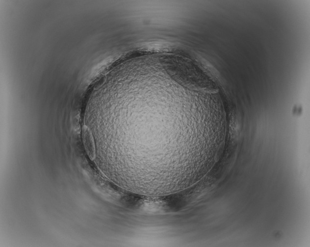 X0000114190403200910231325