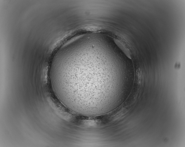X0000114190404200910231325
