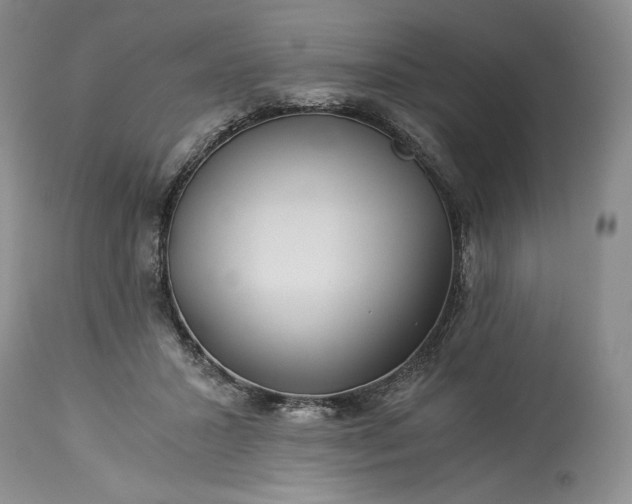 X0000114190407200910231325