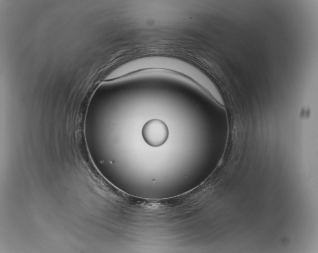 X0000114190409200910231325