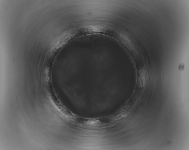 X0000114190410200910231325