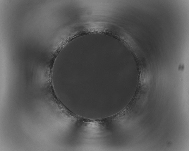 X0000114190411200910231325