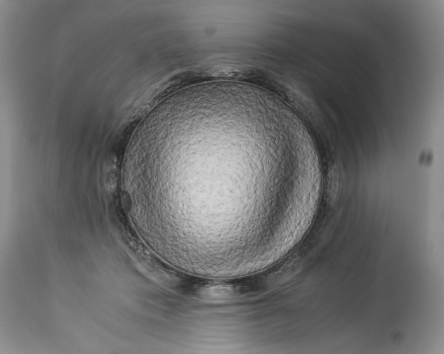 X0000114190413200910231325