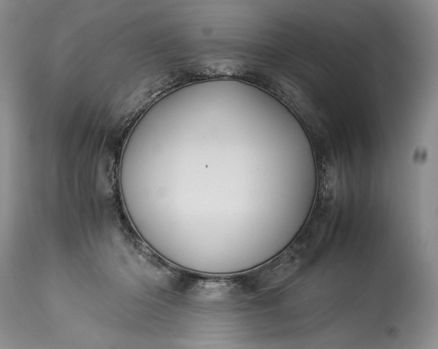 X0000114190414200910231325