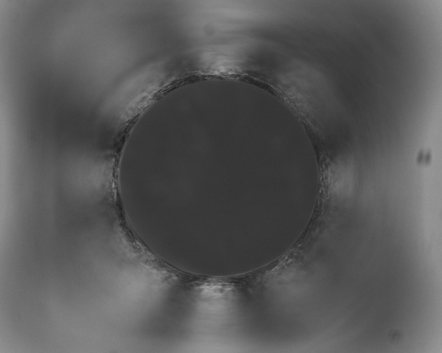 X0000114190415200910231325