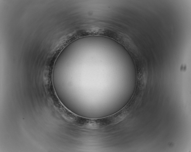 X0000114190416200910231325