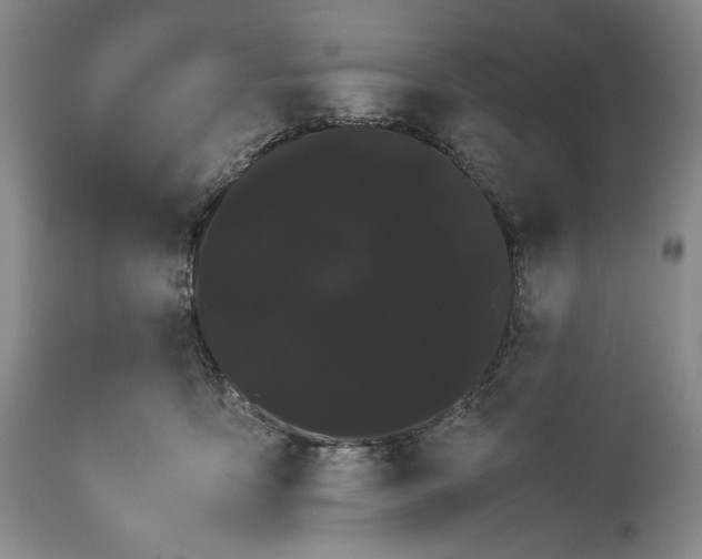 X0000114190419200910231325