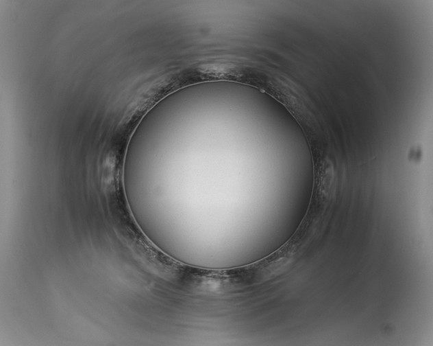 X0000114190420200910231325