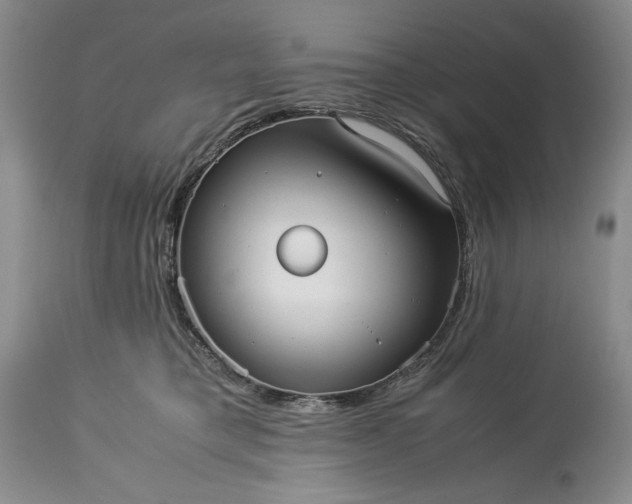 X0000114190421200910231325