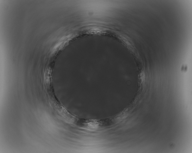 X0000114190423200910231325