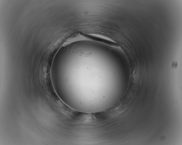 X0000114190424200910231325