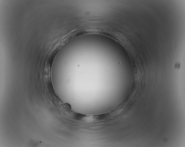 X0000114190425200910231325