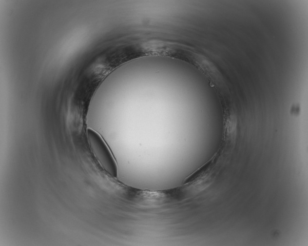 X0000114190429200910231325