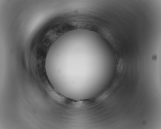X0000114190430200910231325