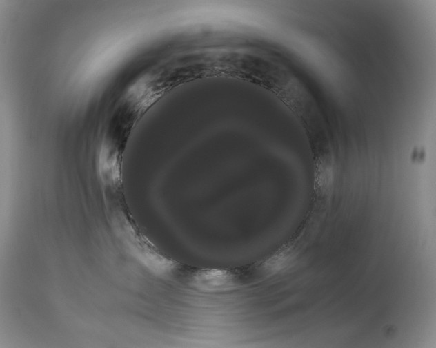 X0000114190431200910231325