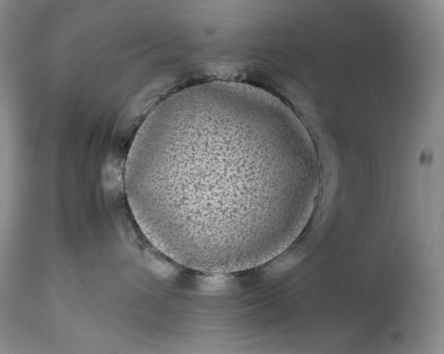 X0000114190432200910231325