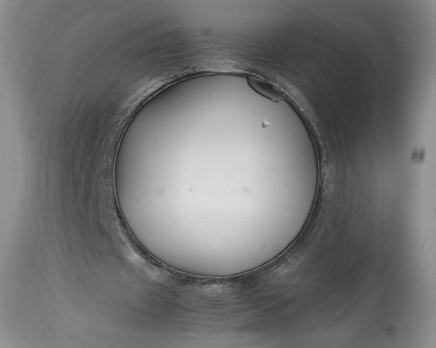 X0000114190433200910231324