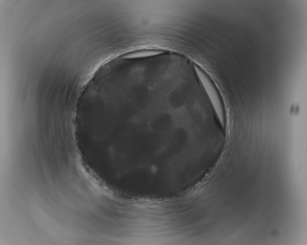 X0000114190434200910231324