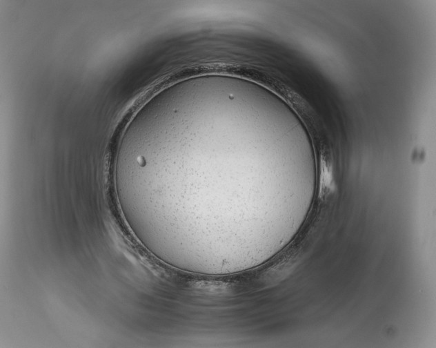 X0000114190435200910231324