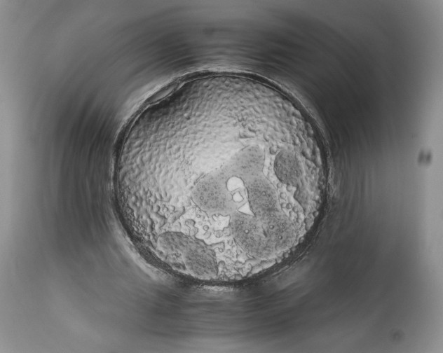 X0000114190437200910231324