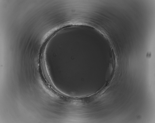X0000114190438200910231324