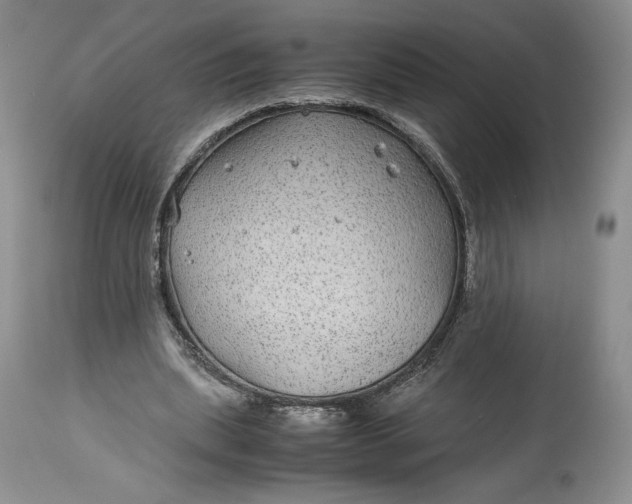 X0000114190439200910231324