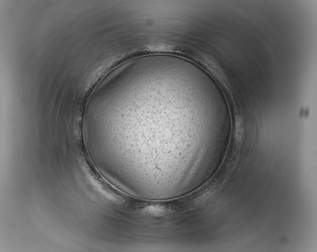 X0000114190441200910231324