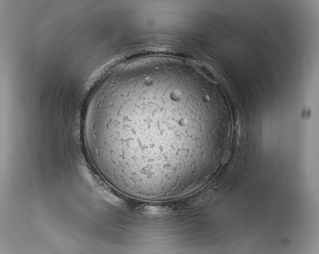 X0000114190442200910231324