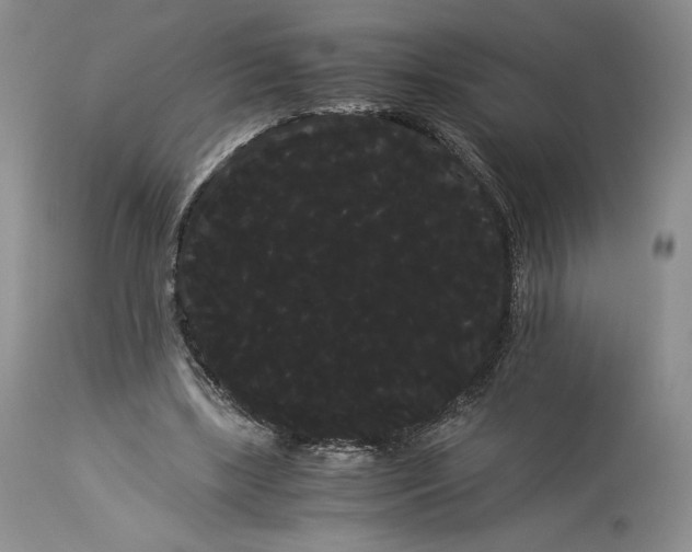 X0000114190443200910231324