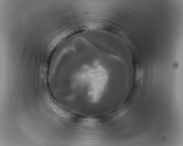 X0000114190444200910231324