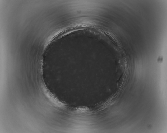 X0000114190446200910231324