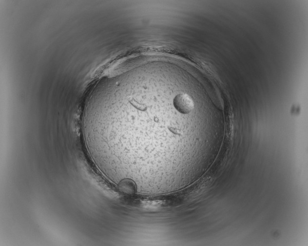 X0000114190450200910231325
