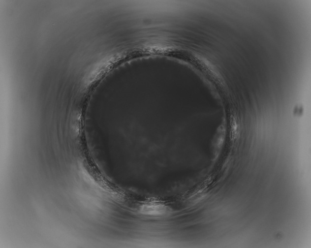 X0000114190451200910231325