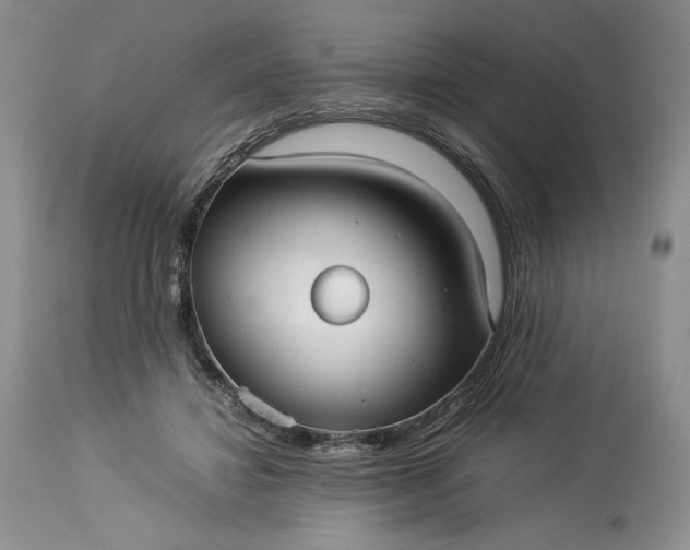 X0000114190452200910231325