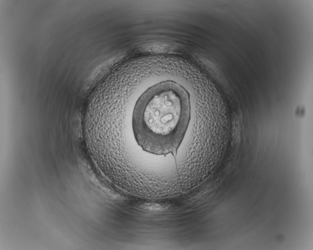 X0000114190453200910231325