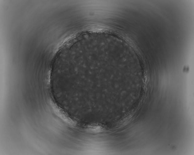 X0000114190454200910231325