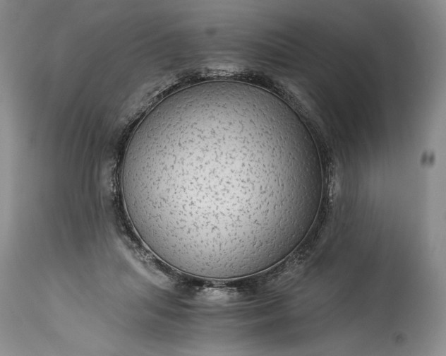 X0000114190455200910231325