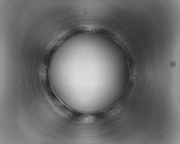 X0000114190456200910231325