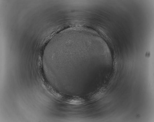 X0000114190459200910231325