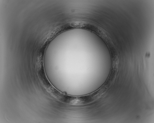 X0000114190460200910231325