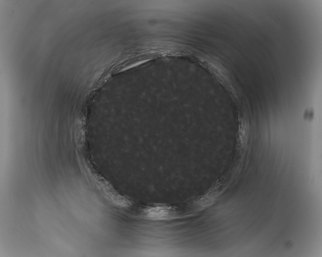 X0000114190461200910231325