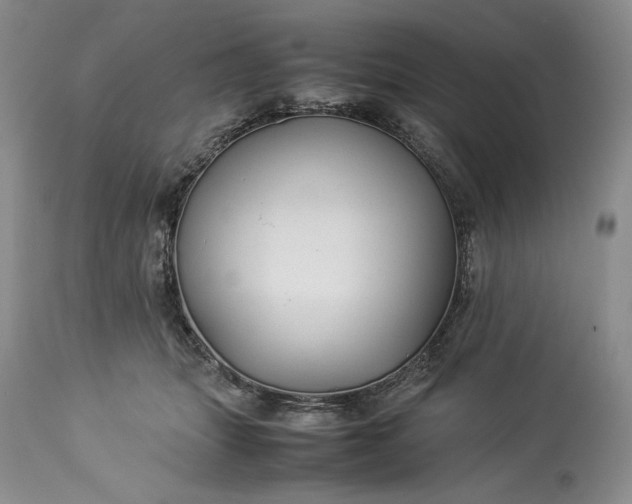 X0000114190463200910231325