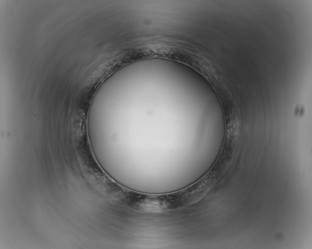 X0000114190464200910231325