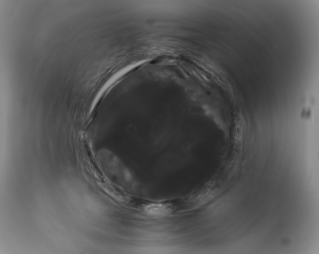 X0000114190465200910231325