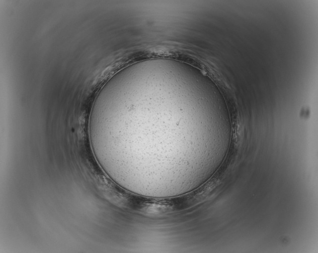 X0000114190466200910231325
