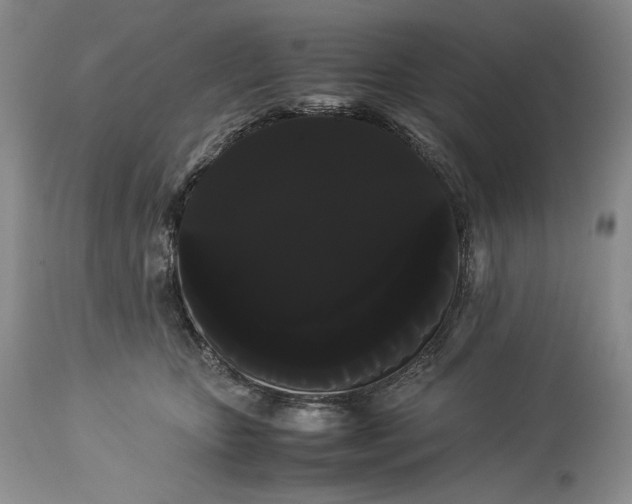 X0000114190467200910231325