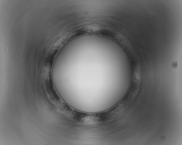 X0000114190468200910231325