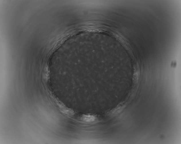 X0000114190469200910231325